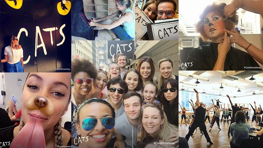 It's Time to Follow the Cats Broadway Revival on Instagram,…