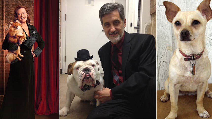 Doggy Hour! Broadway Pups Reveal What Celebrity Dog They Mo…