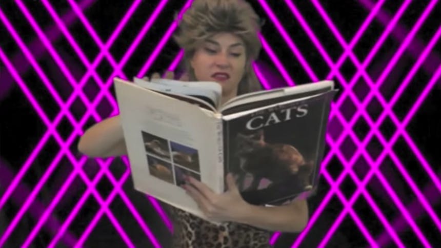 Hot Clip of the Day: You Haven't Seen a Crazy Cat Lady Vide…