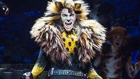 Cats Star Tyler Hanes Reveals How Freddie Mercury, Trevor Nunn & His Cat Chimbley Inspired His Rum Tum Tugger