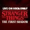 Stranger Things: The First Shadow