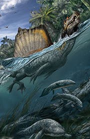 National Geographic Live: Spinosaurus
