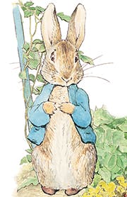 Peter Rabbit Tales