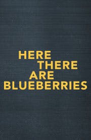 Here There Are Blueberries