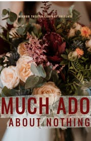 Much Ado About Nothing