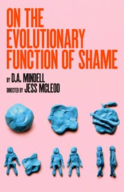 On the Evolutionary Function of Shame