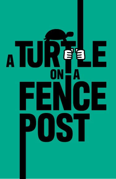 A Turtle On A Fence Post