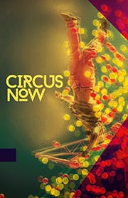 Circus Now: International Contemporary Circus Exposure 2017