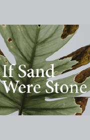 If Sand Were Stone