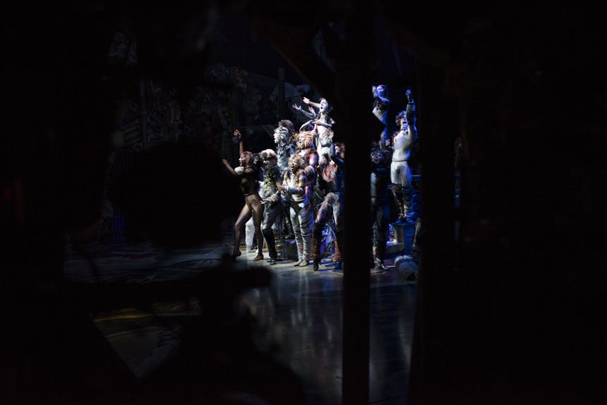 Cats- Broadway- Revival- Backstage- Jellicle Ball