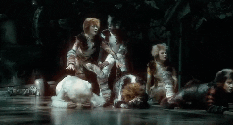 Cats GIf- Broadway- Revival- opening