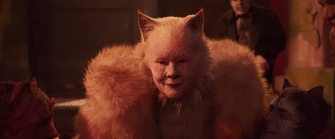 Cats Movie GIF- Judi Dench as Old Deuteronomy