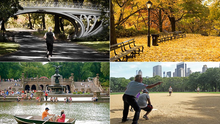 Central Park Seasons