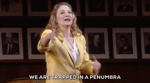 Heidi Schrek What the Constitution Means to Me Broadway GIF