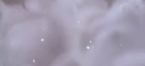 Puppy in the snow GIF