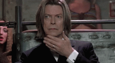 Bowie oh dear gif