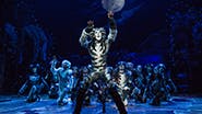 Andy Huntington Jones as Munkustrap and the cast of Cats