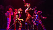 Kim Faure as Demeter, Christine Cornish Smith as Bombalurina and cast in Cats