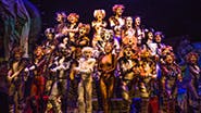 The cast of Cats